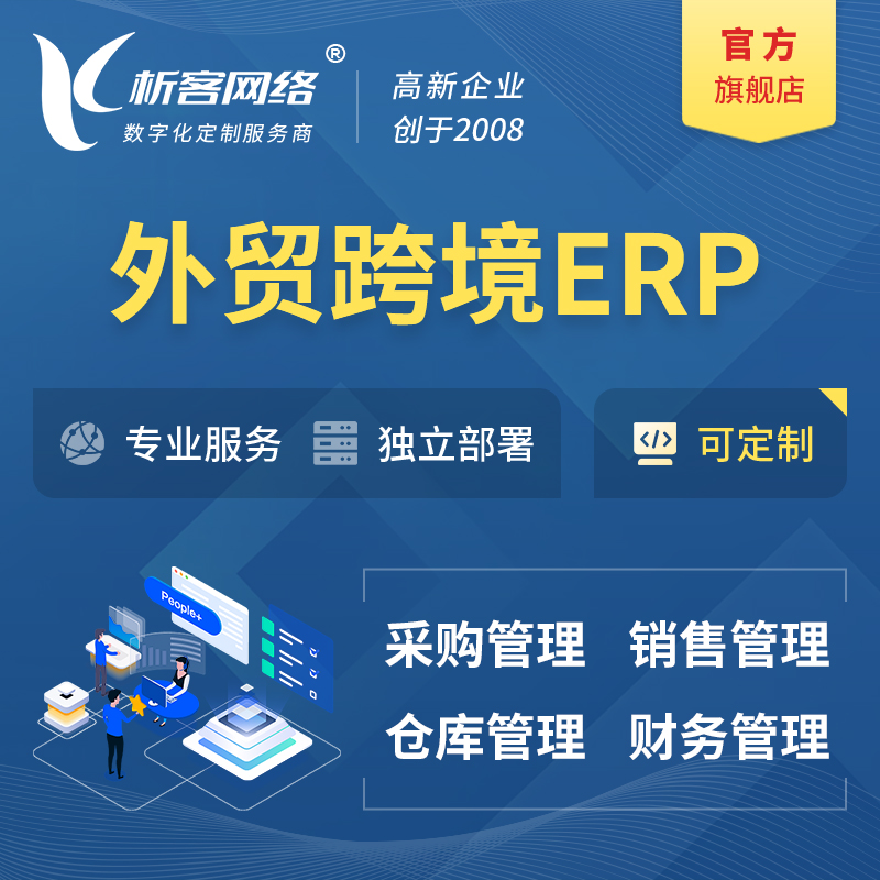 党建外贸跨境ERP软件生产海外仓ERP管理系统